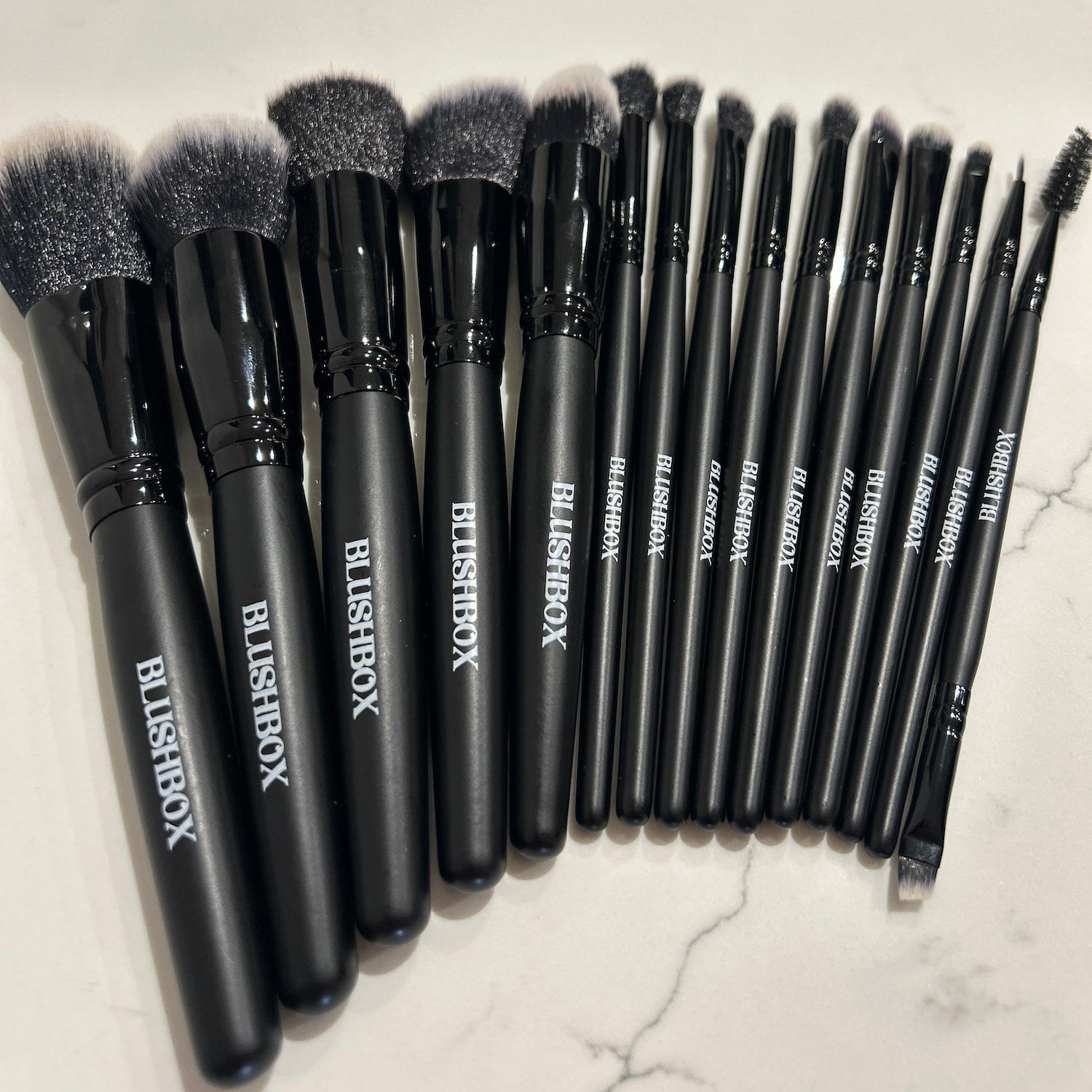 The Blush Box Pro Brush Set - 15 piece