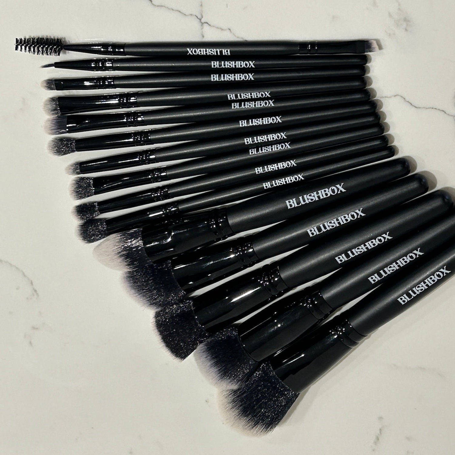 The Blush Box Pro Brush Set - 15 piece